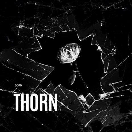 Thorn (Radio Edit) | Boomplay Music