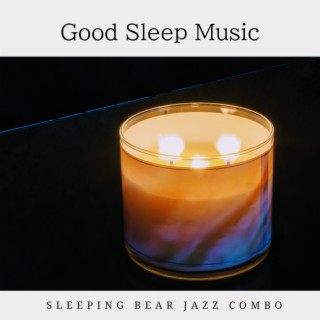 Good Sleep Music