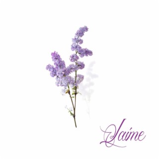 Champ des lilas | Boomplay Music