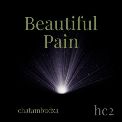 Beautiful Pain | Boomplay Music