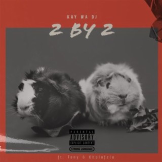 2 by 2 (feat. Big Tony & Kholofelo M)