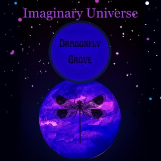 Imaginary Universe