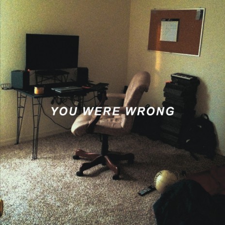You Were Wrong | Boomplay Music