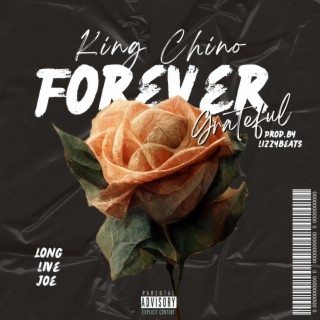 Forever Grateful (LongLiveJOE) lyrics | Boomplay Music