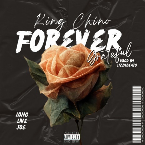 Forever Grateful (LongLiveJOE) | Boomplay Music