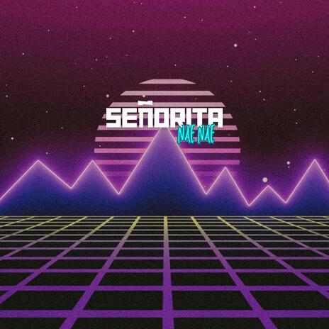 Señorita | Boomplay Music