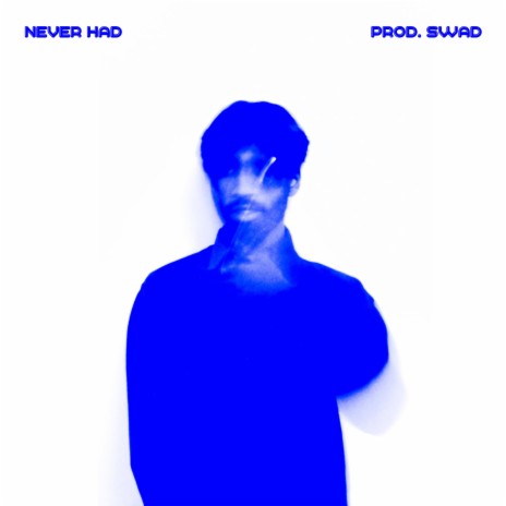 Never Had | Boomplay Music