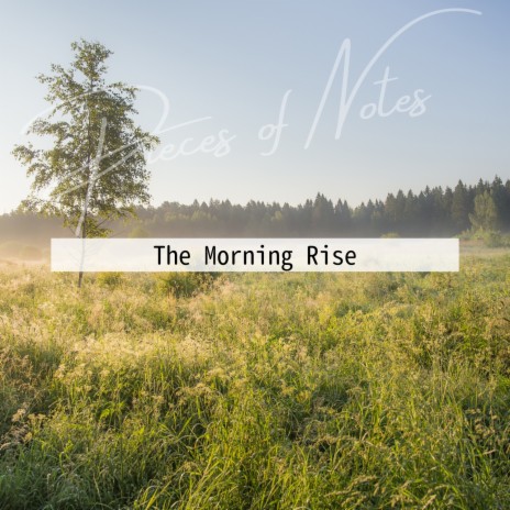 The Morning's Flavour | Boomplay Music