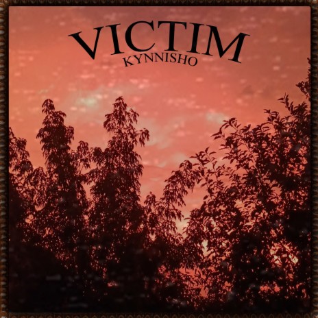 Victim | Boomplay Music