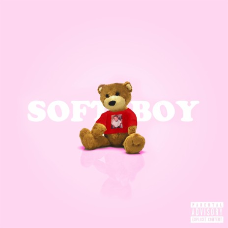 SOFT BOY | Boomplay Music