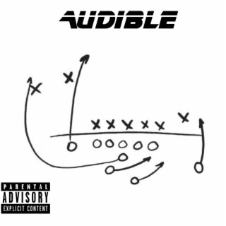 Audible