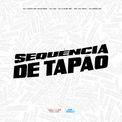 Sequência de Tapão ft. Alvees MC, DJ JOÃO DE IGUATEMI, DJ K9 & DJ Cauê MR | Boomplay Music