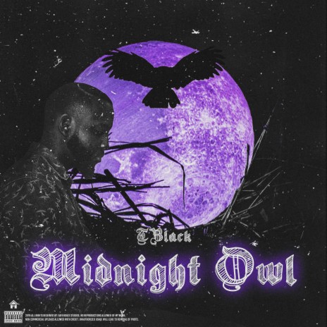 Midnight Owl | Boomplay Music