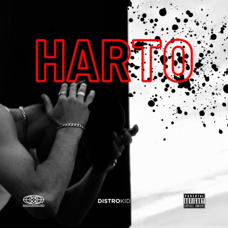 HARTO | Boomplay Music