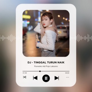 DJ Tinggal Turun Naik (Full Bass)