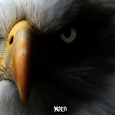 Eagle Eyes | Boomplay Music