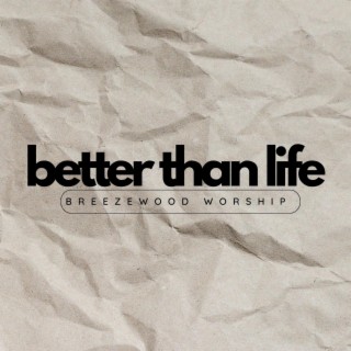 Better Than Life ft. Aaron Bopst lyrics | Boomplay Music