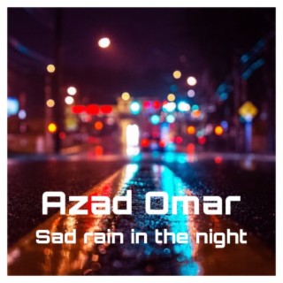 Sad Rain in the Night