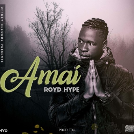 Royd Hype Amai | Boomplay Music