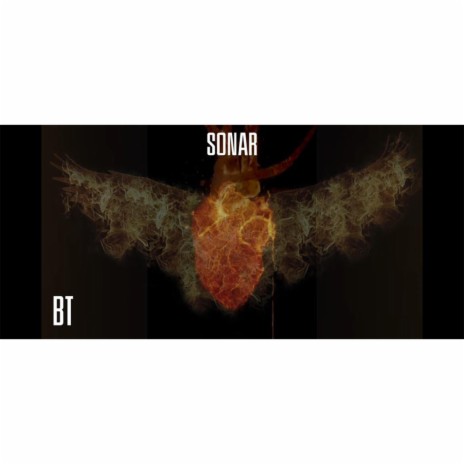 SONAR (BahaaTurk) | Boomplay Music