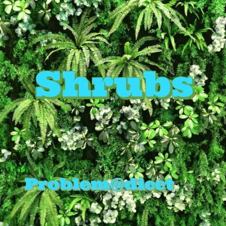 Shrubs | Boomplay Music