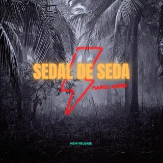 Sedal de seda