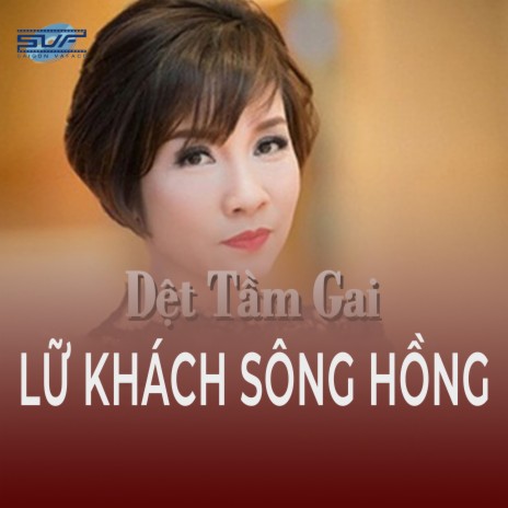 Nghiêng nghiêng rừng chiều | Boomplay Music