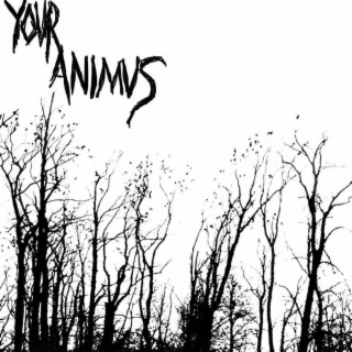 Your Animus