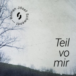 Teil Vo Mir