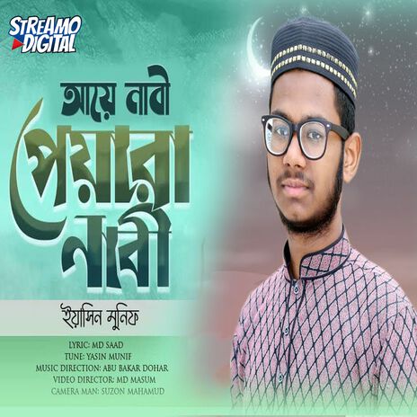 Aye Nabi Pyare Nabi | Boomplay Music