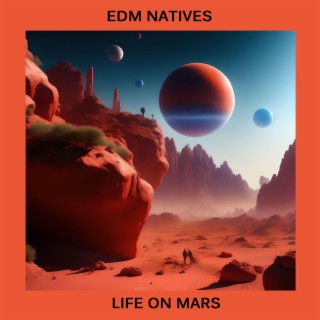 Life On Mars