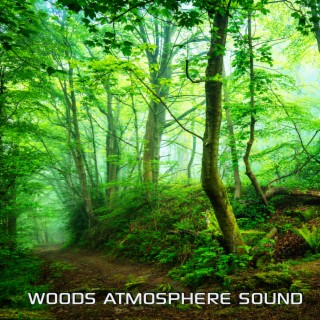 Woods Atmosphere Sound