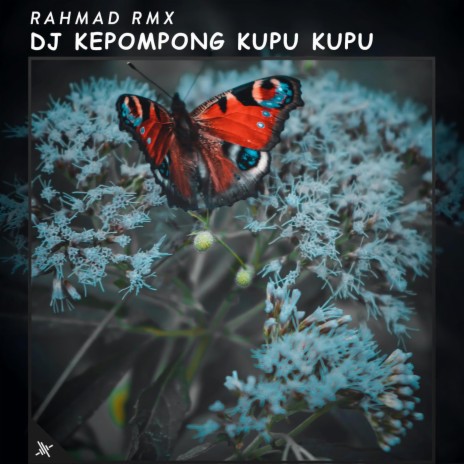 DJ Kepompong Kupu Kupu | Boomplay Music
