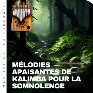 Mélodies apaisantes de kalimba pour la somnolence