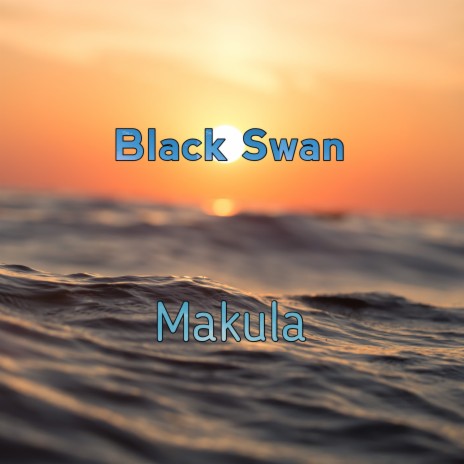 Black Swan | Boomplay Music
