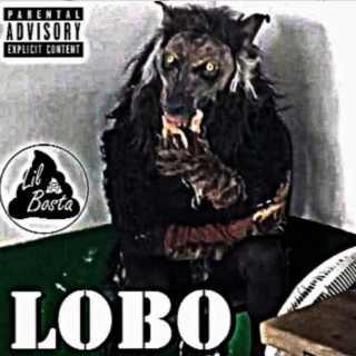 Lobo Mau