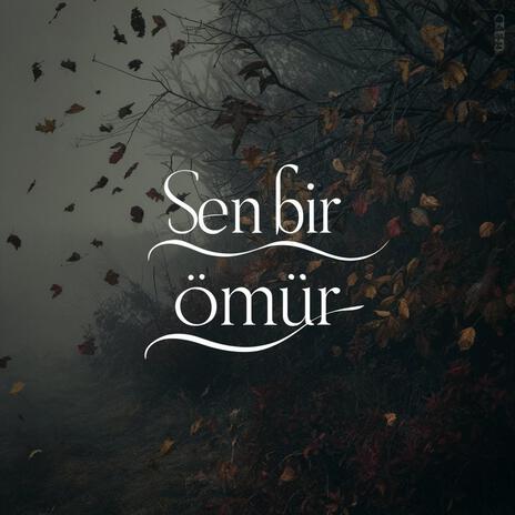 Sen Bir Ömür | Boomplay Music