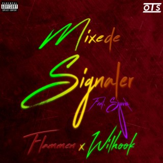 Mixede Signaler (Remix)