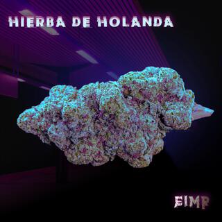 Hierba de Holanda