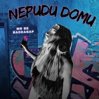 Nepudu Domu