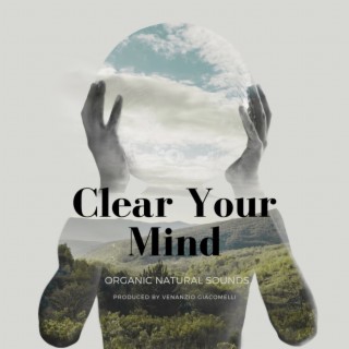 Clear Your Mind