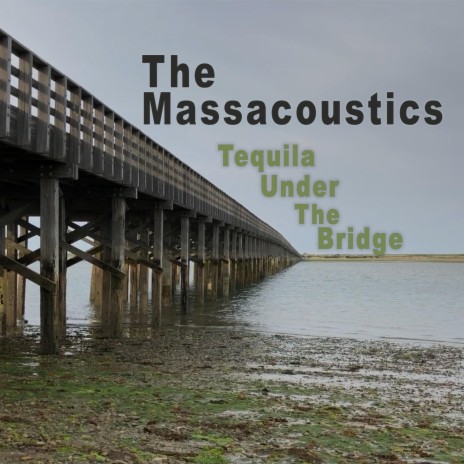 Tequila Under the Bridge | Boomplay Music