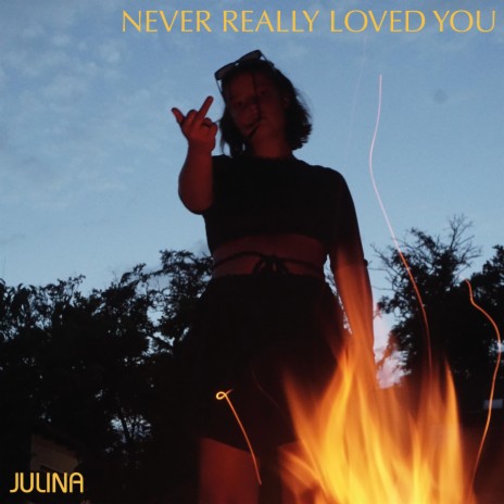 Never Really Loved You | Boomplay Music