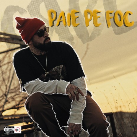 Pun Paie Pe Foc | Boomplay Music