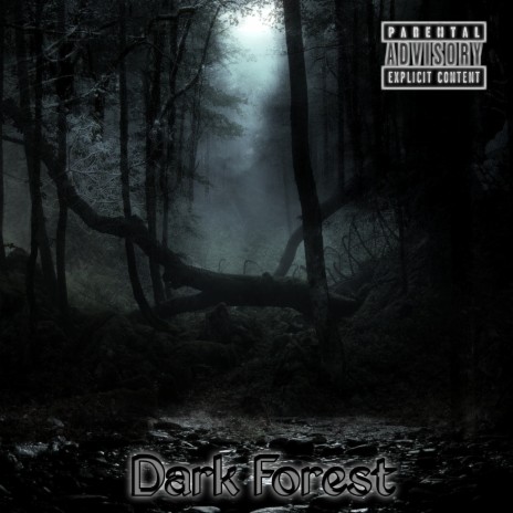 Dark Forest | Boomplay Music