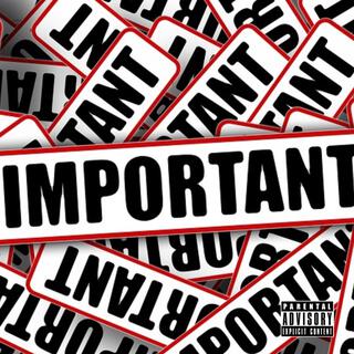 Important lyrics | Boomplay Music