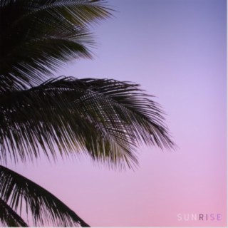 Sunrise (feat. Jouzu)