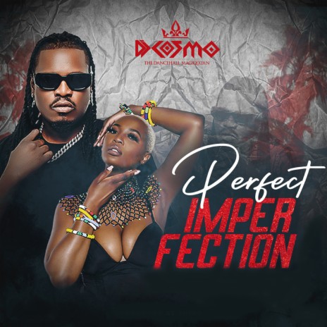 Perfect Imperfection ft. Dj Cosmo Zambia & Zani Challe | Boomplay Music