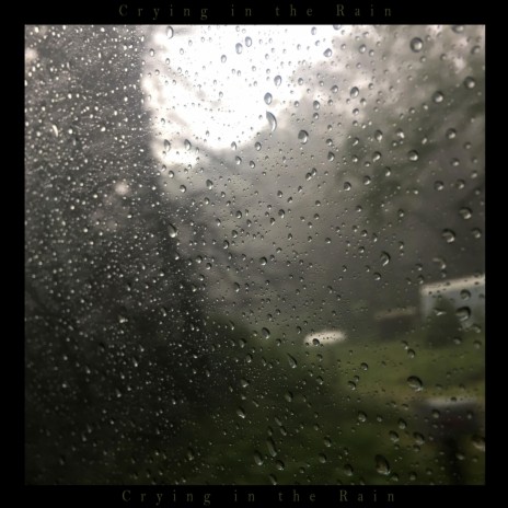 Crying in the Rain | Boomplay Music
