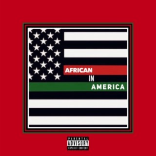 African in America